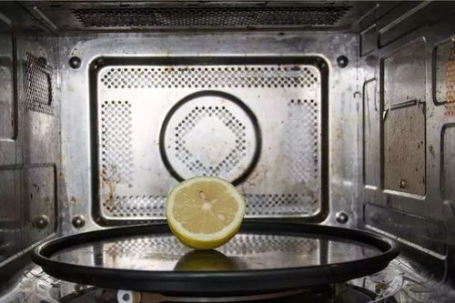 看完嚇一跳 這8個廚房用品上有300多種細(xì)菌,你可能每天都在用