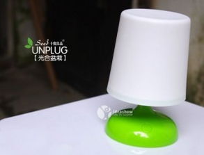 會發(fā)光的光合作用盆栽