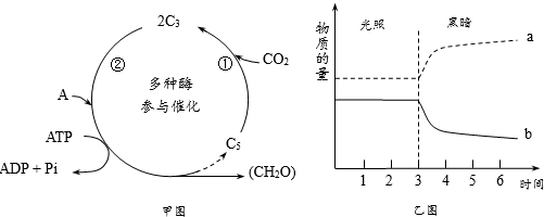 光合作用過(guò)程分析與曲線解讀