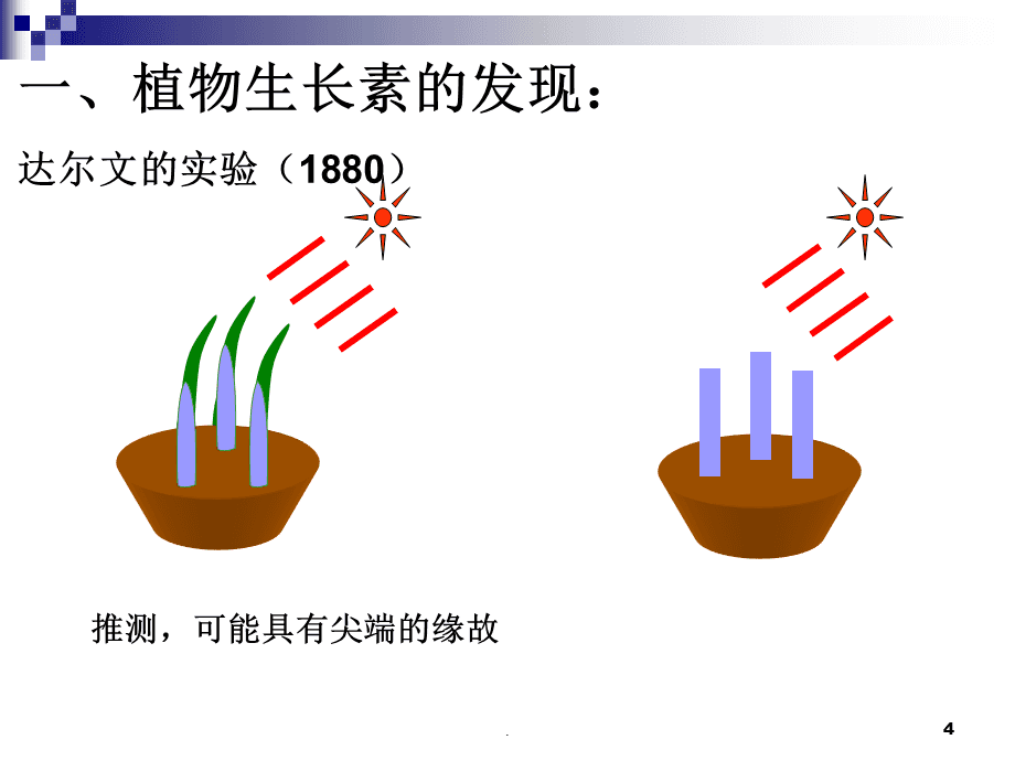 植物生命活動的調節 光合作用的奧秘與機制