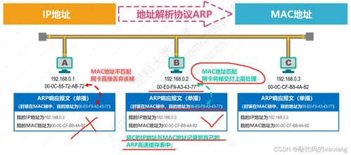 計算機(jī)網(wǎng)絡(luò)入門基礎(chǔ)篇 數(shù)據(jù)鏈路層（下）與相關(guān)技術(shù)開發(fā)服務(wù)